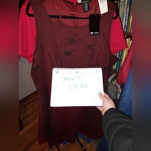 Her Universe Red and Black Dress